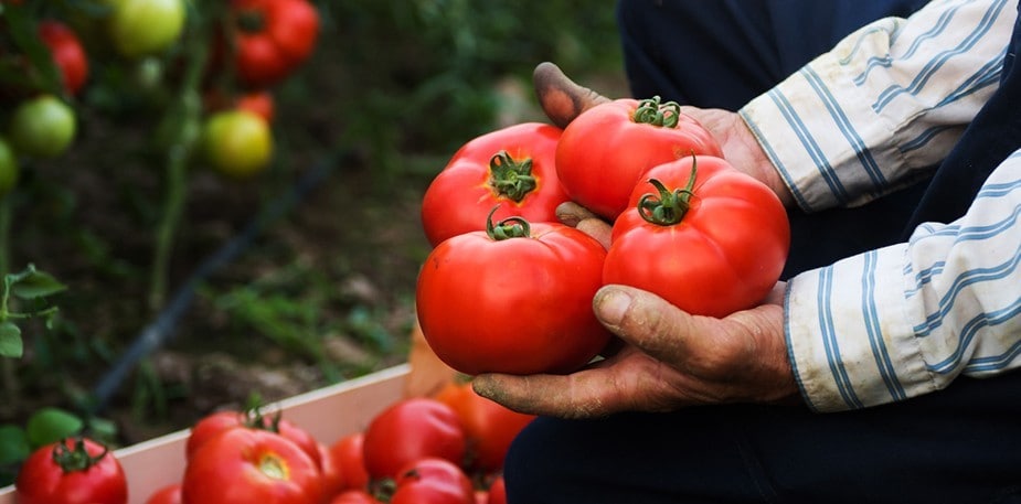 Vikten av en hållbar framtid!