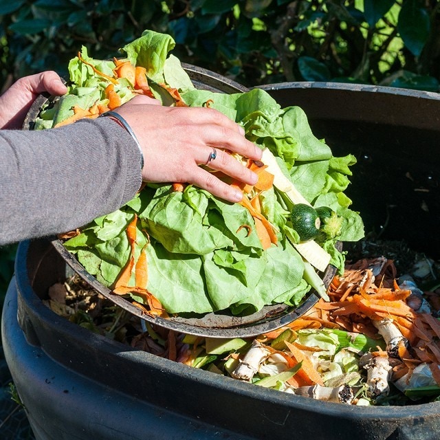 Vikten av en hållbar framtid!