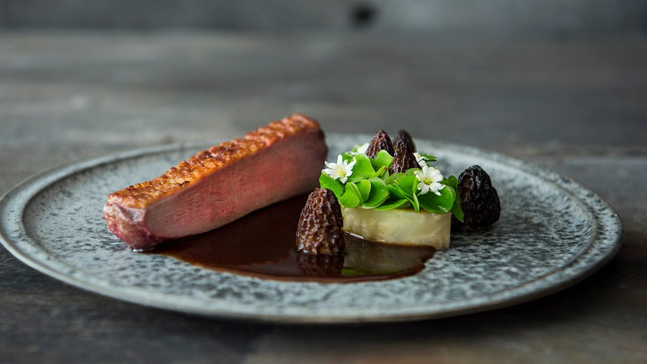 Stekt ankbröst, saltbakad rotselleri, kycklingfärsfyllda murklor och viltsås – - Recept Stekt ankbröst, saltbakad rotselleri, kycklingfärsfyllda murklor och viltsås – - Recept