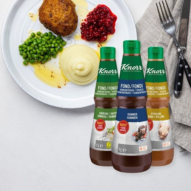 Knorr Professional Koncentrerad Fond