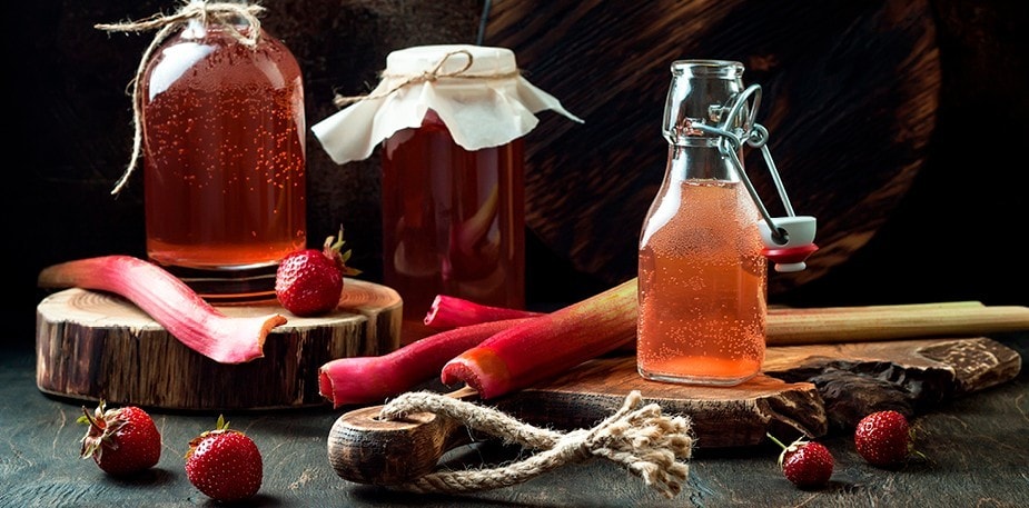 Kombucha för nybörjare