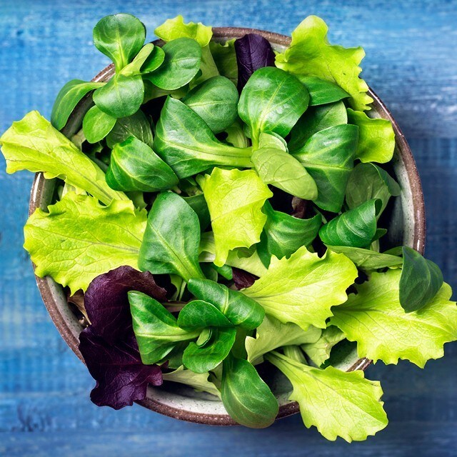 Sallad i långa banor!