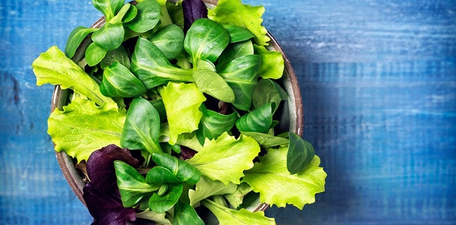 Sallad i långa banor!