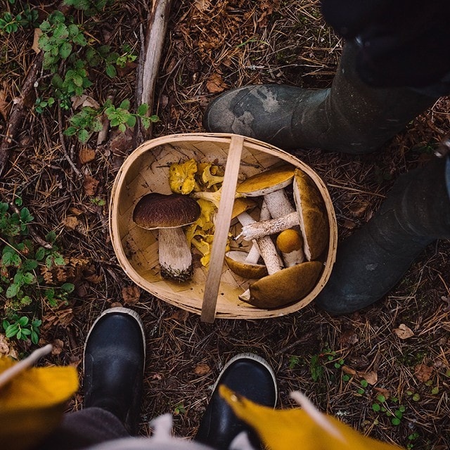 Skattkammaren har öppnat!