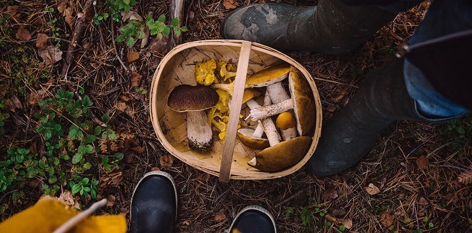 Skattkammaren har öppnat!