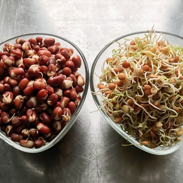 Grodda loss med Martina!