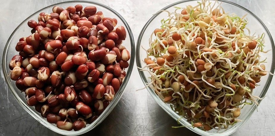 Grodda loss med Martina!