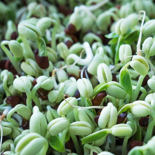 Grodda på men grodda säkert!