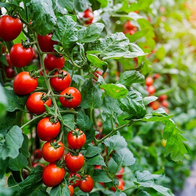 Vi bryr oss om hållbarhet