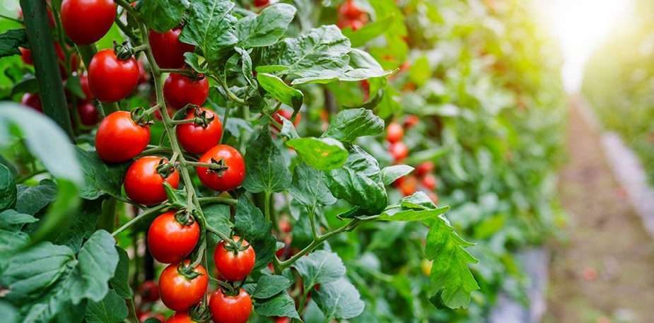 Vi bryr oss om hållbarhet