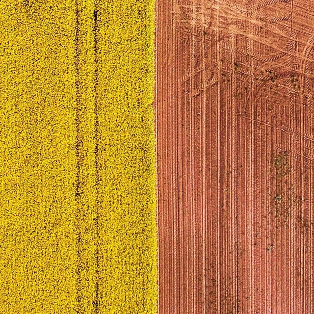 Heja biodiversiteten! Heja biodiversiteten!