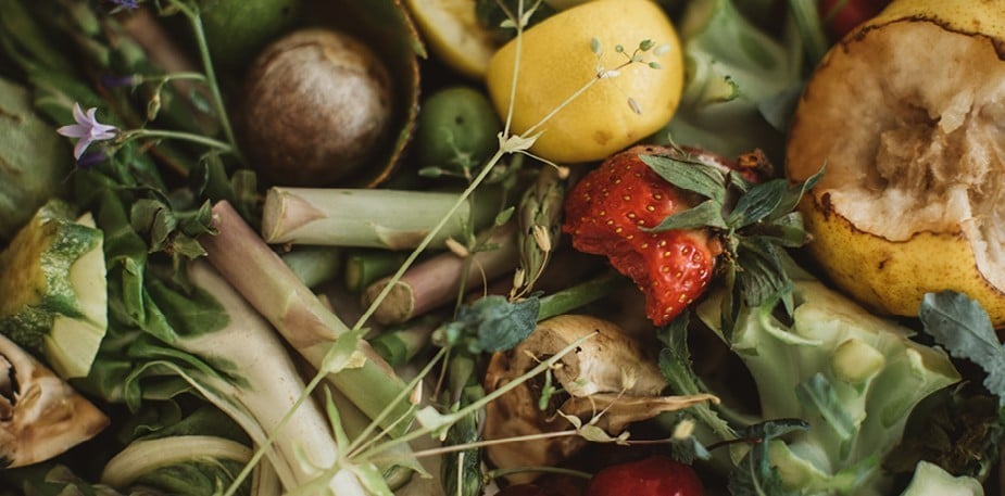 Världens livsmedelssystem är ohållbart