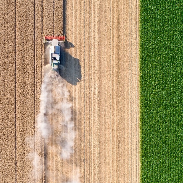 Så påverkar valet av ingredienser vår planet