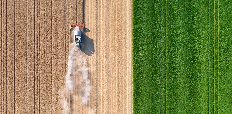 Så påverkar valet av ingredienser vår planet
