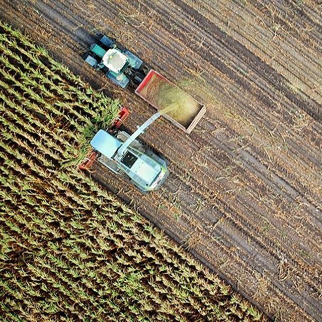 Unilevers kod för hållbart jordbruk – SAC