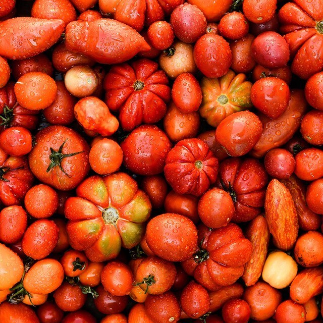 ”Det är upp till bevis för livsmedelsbranschen nu!”