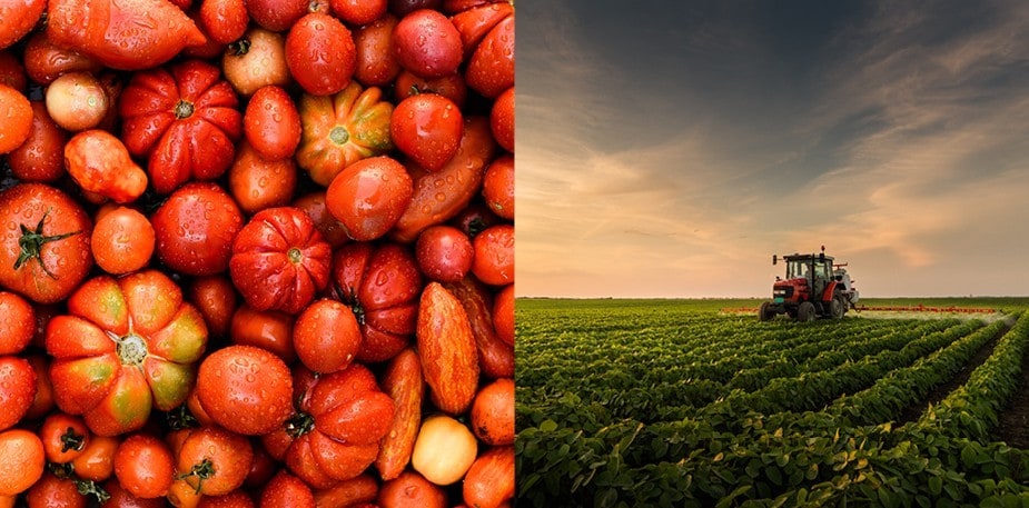 ”Det är upp till bevis för livsmedelsbranschen nu!”