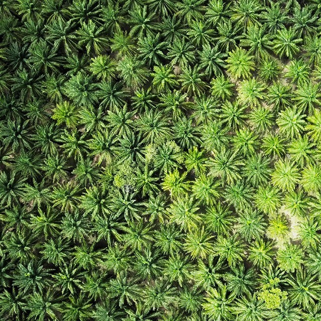 Vi driver utvecklingen 