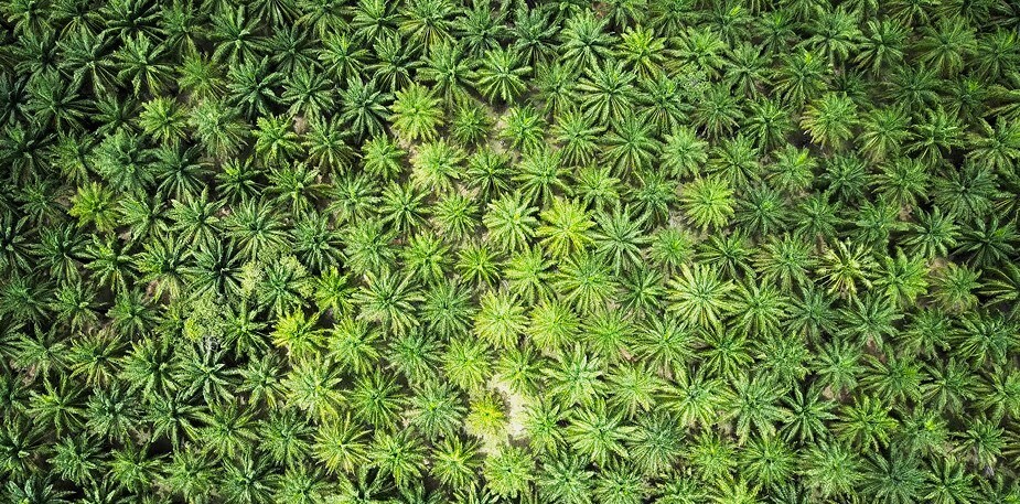 Vi driver utvecklingen 