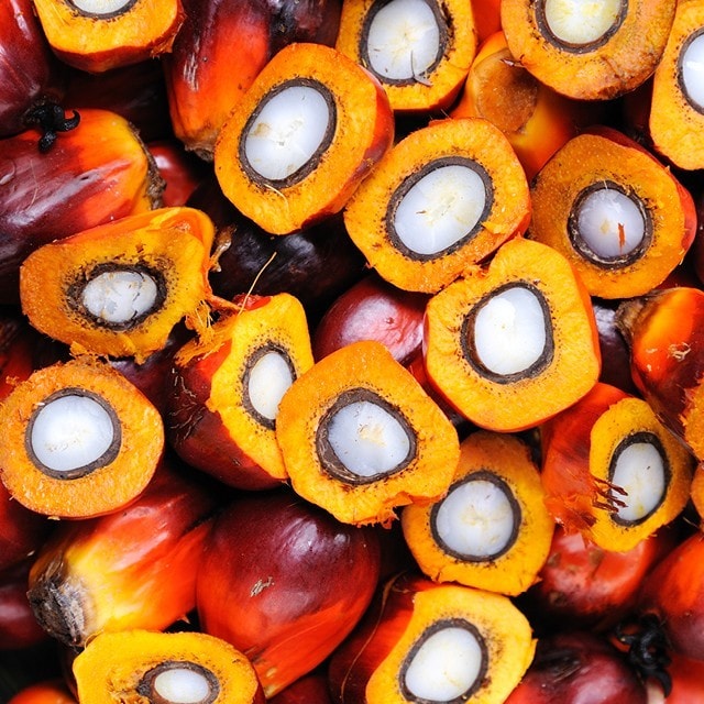 En unik men omstridd råvara