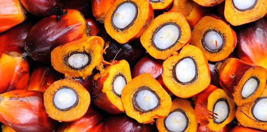 En unik men omstridd råvara