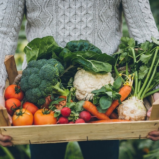 5 matiga tips för en mer hållbar verksamhet!