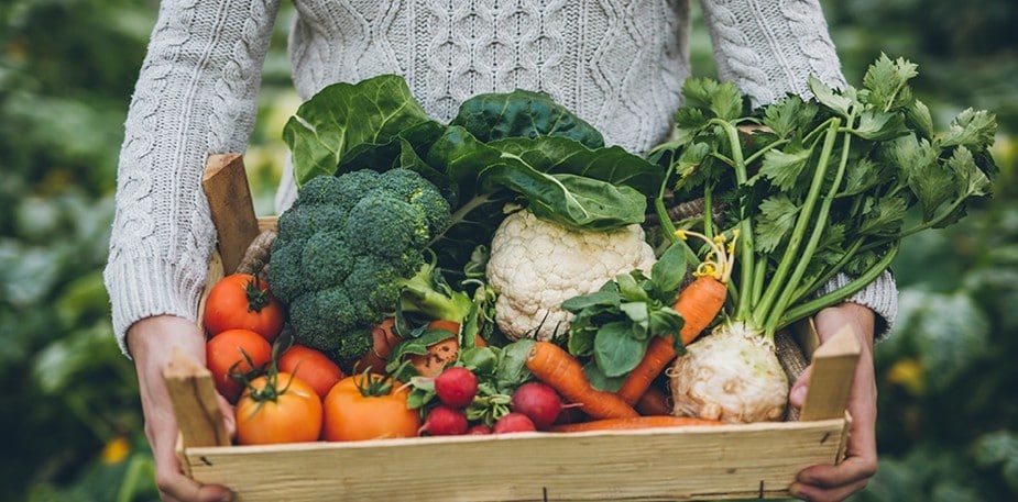 5 matiga tips för en mer hållbar verksamhet!