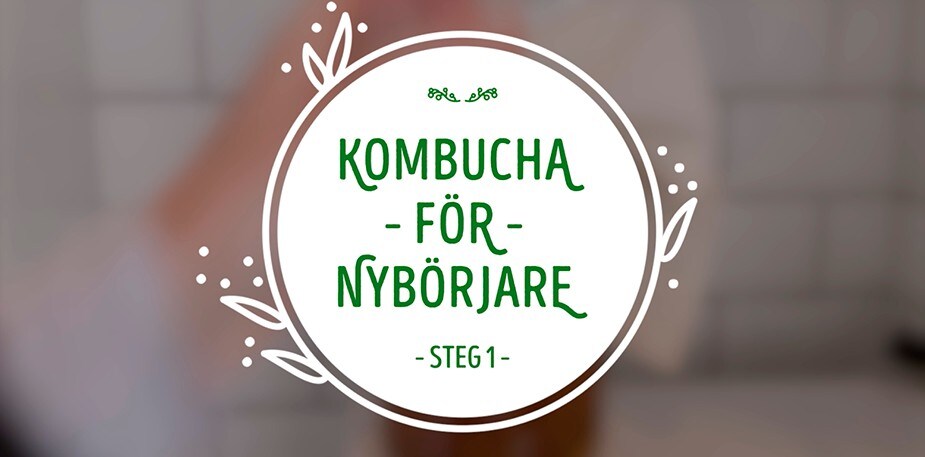 Martina brygger kombucha! Steg 1. 