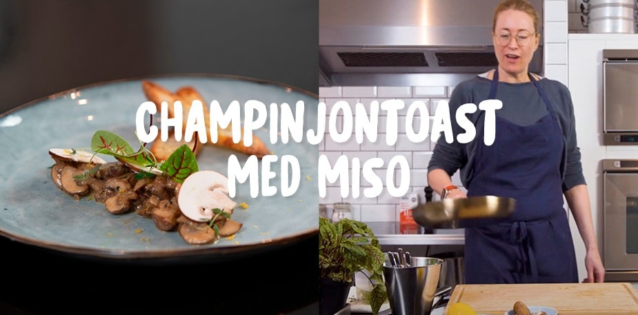 Martina svänger ihop en champinjontoast med miso 