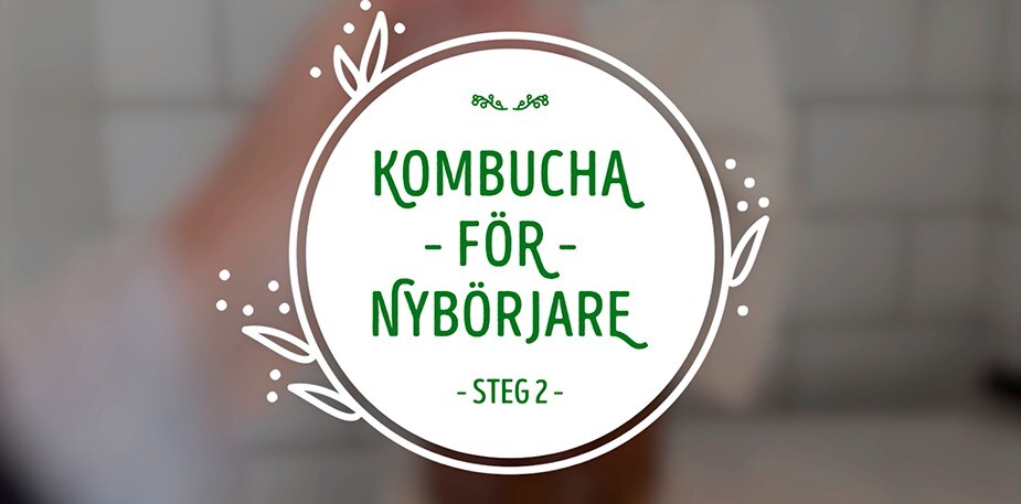 Martina brygger kombucha! Steg 2. 
